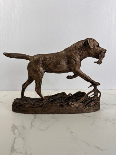 Labrador retrieving duck