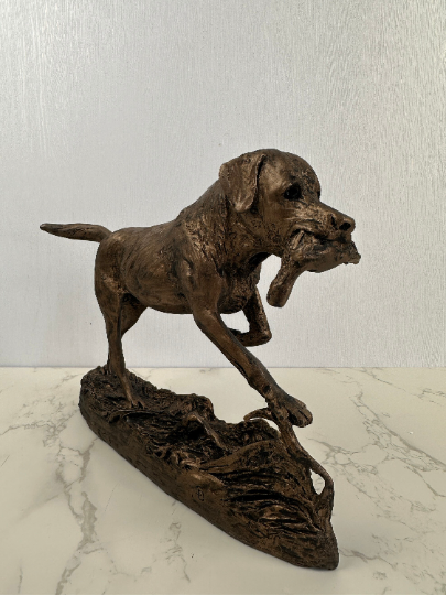 Labrador retrieving duck