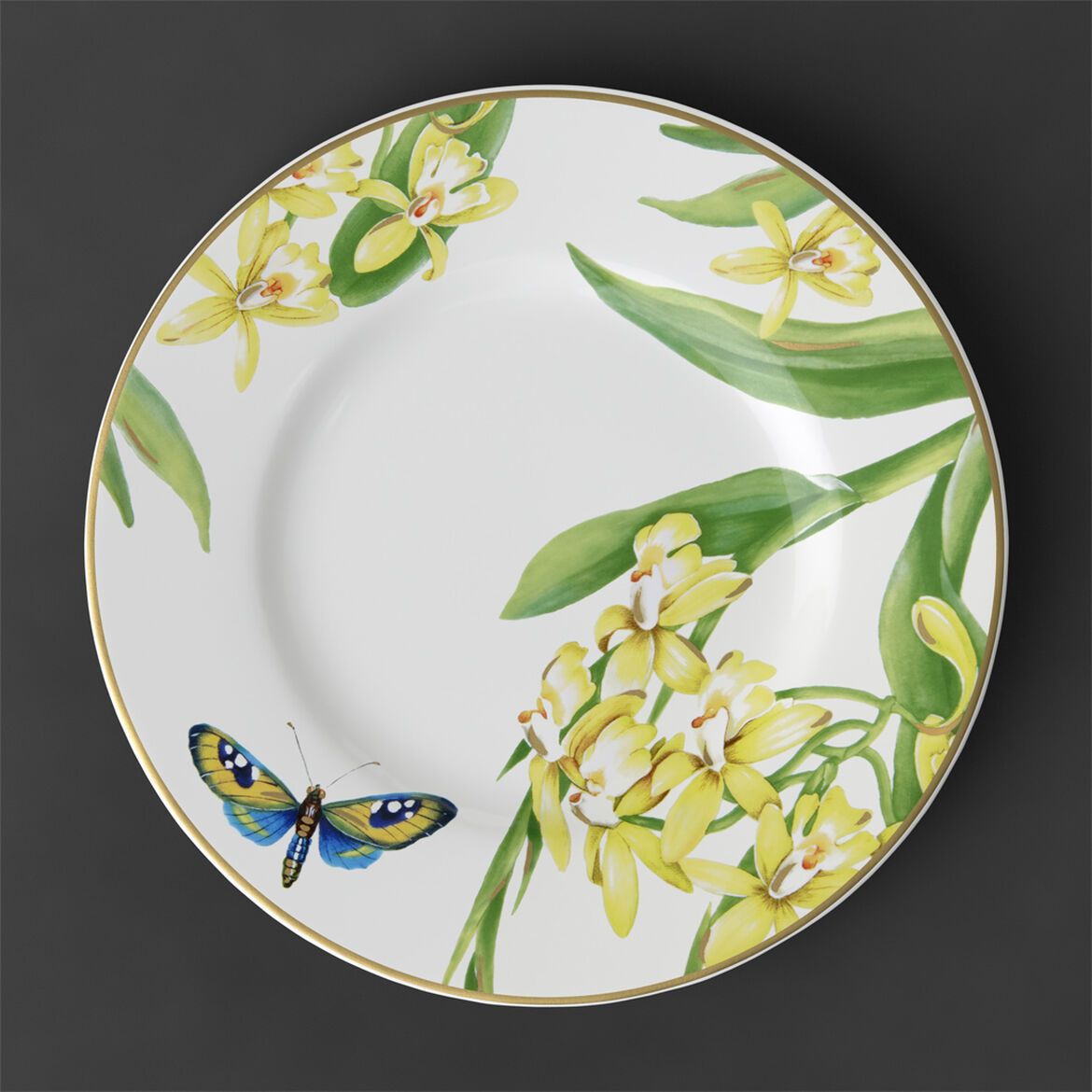 Amazonia Anmut breakfast plate
