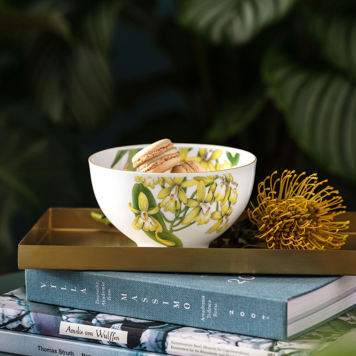 Amazonia bowl