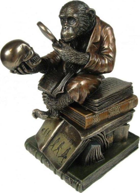 Monkey on skull darwin evolution figurine box, bronze sculpture, home decor