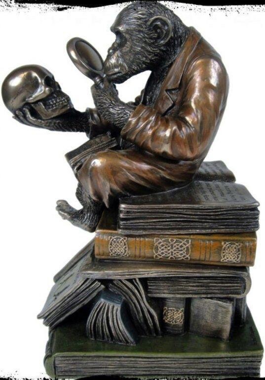 Monkey on skull darwin evolution figurine box, bronze sculpture, home decor