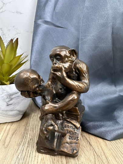 The darwin monkey