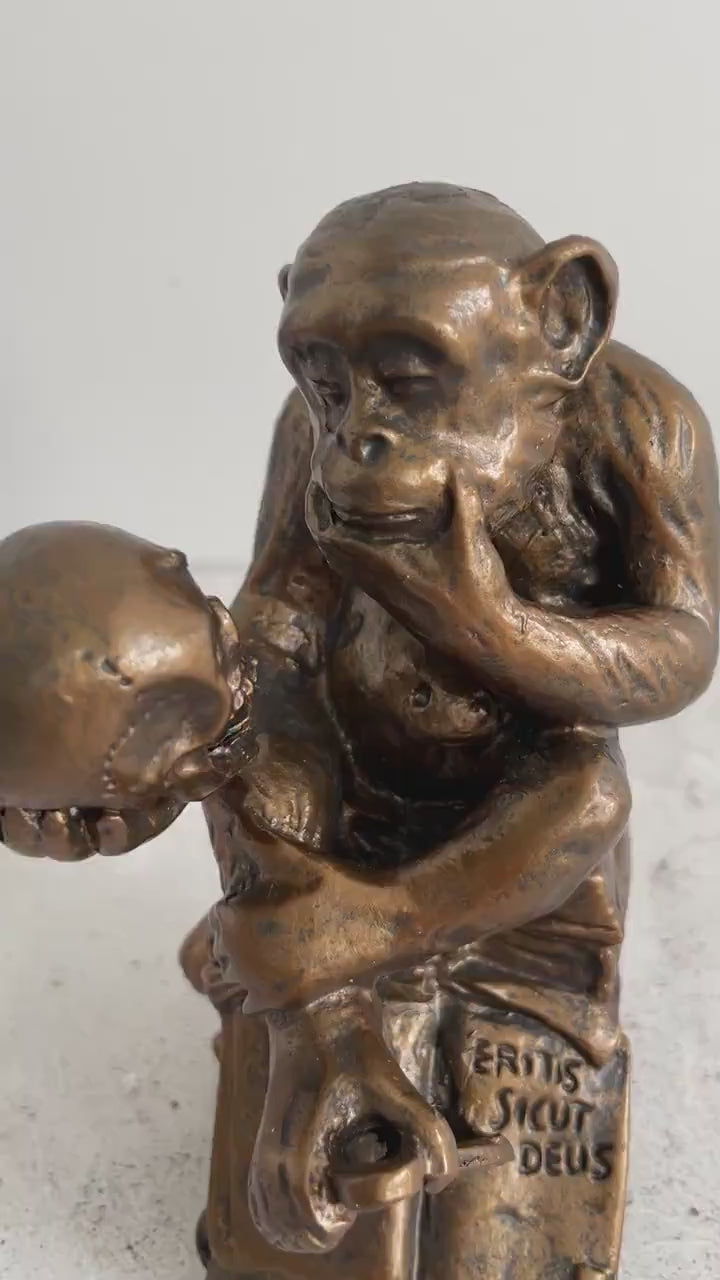The darwin monkey figurine rheinhold animal sculpture home decor