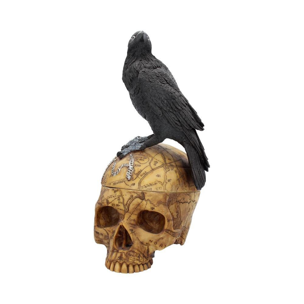 Salems Familiar Box Gothic Raven Skull Witch Pentagram Trinket Box home decor birthday gift