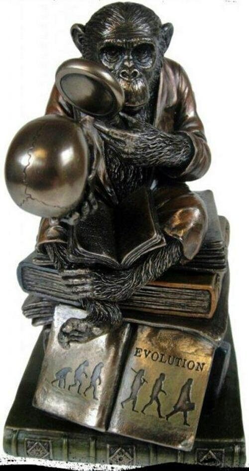 Monkey on skull darwin evolution figurine box, bronze sculpture, home decor